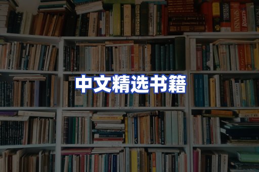 中文精选书籍